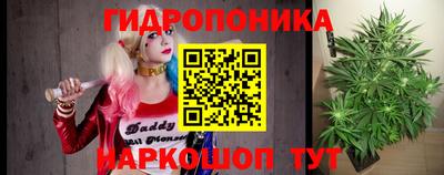 a pvp Пугачёв