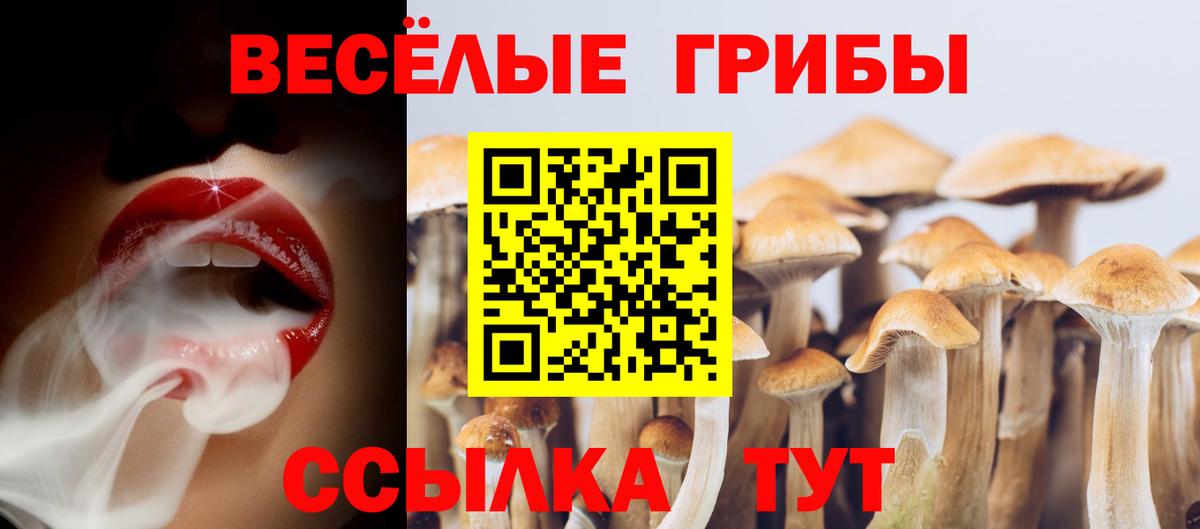 Обь  Галлюциногенные грибы GOLDEN TEACHER  Вход с VPN 